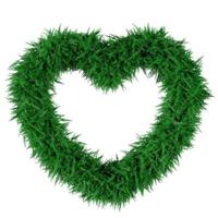 Green grass with heart shape photo