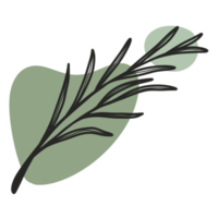 Line Art Leaf png