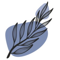 Line Art Leaf png