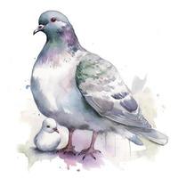 free mother pigeon with pigeon child water color, pastel ,white background , generat ai photo