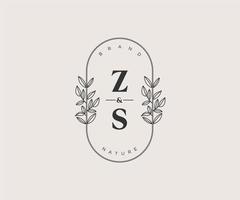initial ZS letters Beautiful floral feminine editable premade monoline logo suitable for spa salon skin hair beauty boutique and cosmetic company. vector