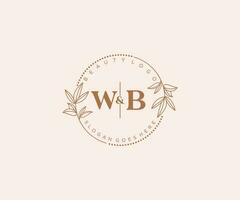 initial WB letters Beautiful floral feminine editable premade monoline logo suitable for spa salon skin hair beauty boutique and cosmetic company. vector