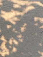 Leaves shadow background on concrete wall texture, leaves tree branches shade photo