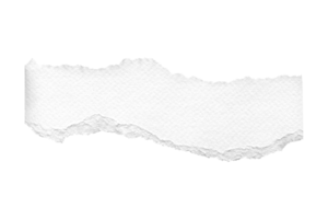 White torn paper isolated on a transparent background png