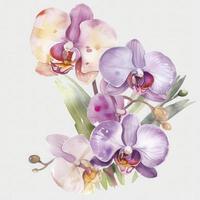 free orchid flowers water color, pastel ,white background , generat ai photo