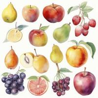 collection of pretty delicate watercolor fruits on  white background, Generate Ai photo