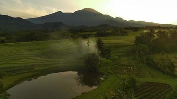 magnifique Matin vue Indonésie. panorama paysage paddy des champs avec beauté Couleur et ciel Naturel lumière video