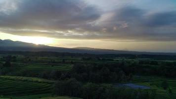 lindo manhã Visão Indonésia. panorama panorama arroz Campos com beleza cor e céu natural luz video