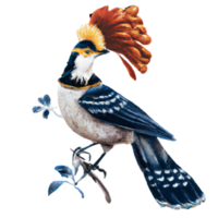 Volk Vogel Aquarell ai generativ png