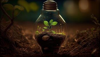 Green Energy and a Bright Future A Light Bulb in Soil photo