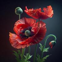 Realistic red poppy isolated on dark background. Decorative flower for Remembrance Day. photo
