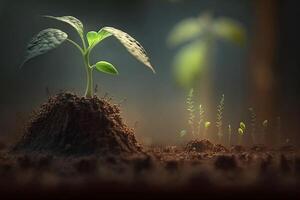 A close-up scene of farming and plant growth is set against a green, blurry backdrop. photo