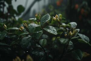 el lluvia caídas en el plantas. ai generado foto