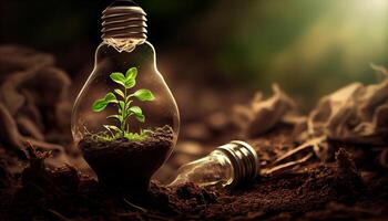 Green Energy and a Bright Future A Light Bulb in Soil photo