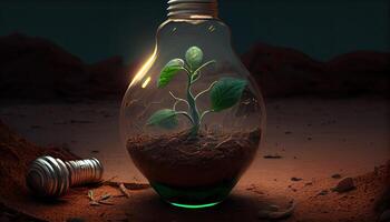 Green Energy and a Bright Future A Light Bulb in Soil photo