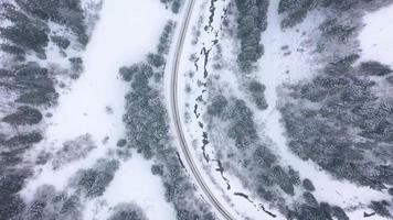 Flight over snowstorm in a snowy mountain coniferous forest, foggy unfriendly winter weather video