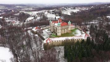 se från de höjd av de slott i nu wisnicz i vinter, polen video
