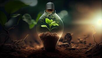 Green Energy and a Bright Future A Light Bulb in Soil photo