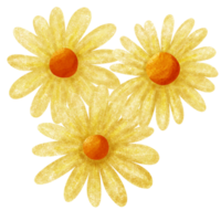 vår blomma vattenfärg png