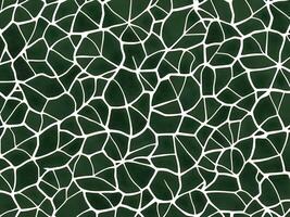 Ginkgo biloba leaf pattern. Vintage botanical background with foliage in hand drawn style. The image was created using . photo