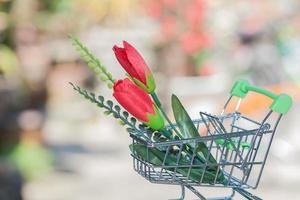 red flower in shopping cart photo