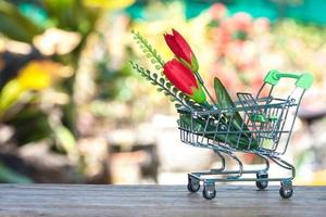 red flower in shopping cart photo