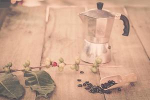 Fresh coffee beans on wood with a  moga pot photo