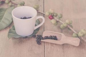 Fresh coffee beans on wood and coffee cup photo
