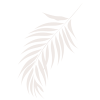 tropical plante feuilles dans lumière gris png