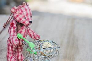 compass in shopping cart with bear toy photo