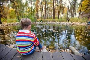 niño en un otoño caminar. el chico se sienta en un antecedentes de otoño naturaleza. foto