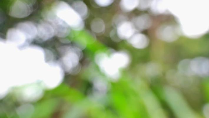 Blur background for editing deals