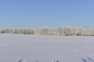 A snow-covered field in winter, blue sky and forest. Snow in a winter field during the day. photo