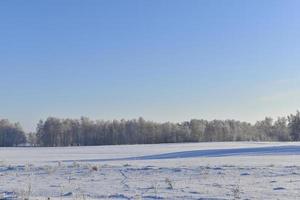 A snow-covered field in winter, blue sky and forest. Snow in a winter field during the day. photo