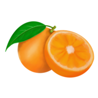 gul orange frukt png