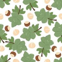 Macadamia nuts and foliage seamless pattern vector