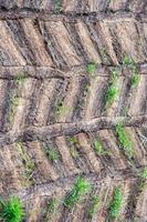 Natural pattern with soil and grass photo