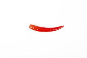 Chili pepper isolated on white background photo