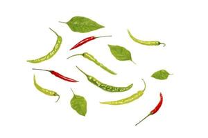 Green chili pepper isolated on white photo