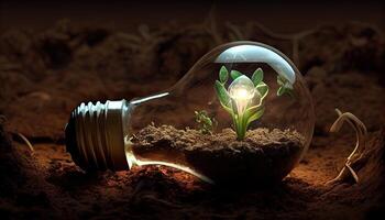 Green Energy and a Bright Future A Light Bulb in Soil photo