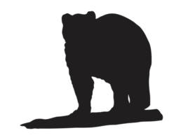 Animal - Bear Silhouette png