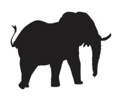 Animal - Elephant Silhouette png