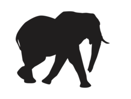 animal - elefante silueta png