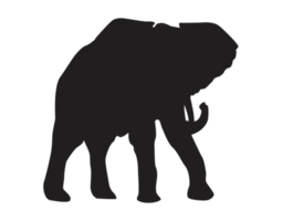 animal - l'éléphant silhouette png