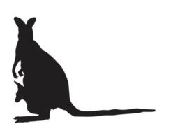 dier - kangoeroe silhouet png
