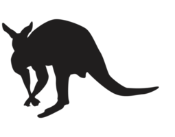 animal - kangourou silhouette png
