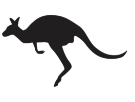 animale - canguro silhouette png