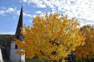 Yellow Tree in front of a White Church Tower photo