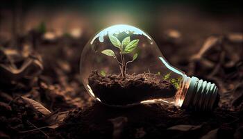 Green Energy and a Bright Future A Light Bulb in Soil photo