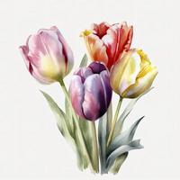 free tulips flowers water color, pastel ,white background , generat ai photo